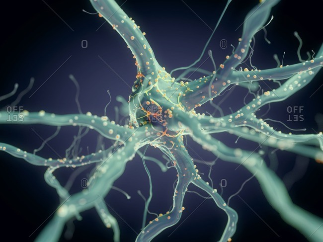 3d rendered illustration of a nerve cell.