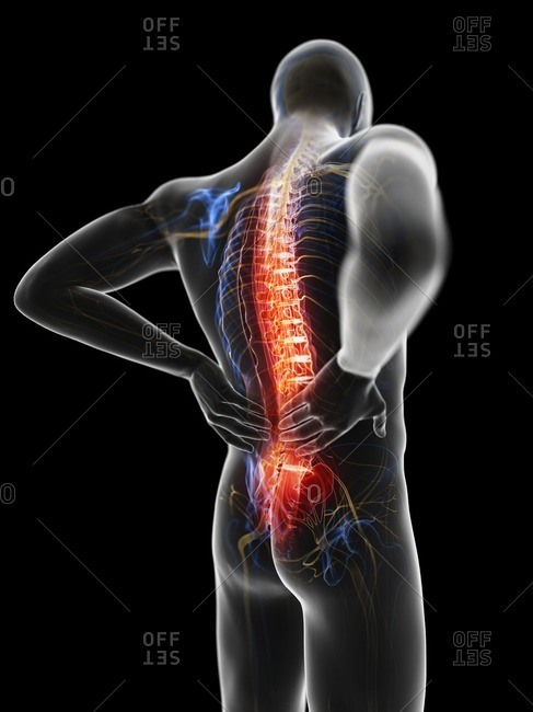 3d rendered illustration of a man with backache.