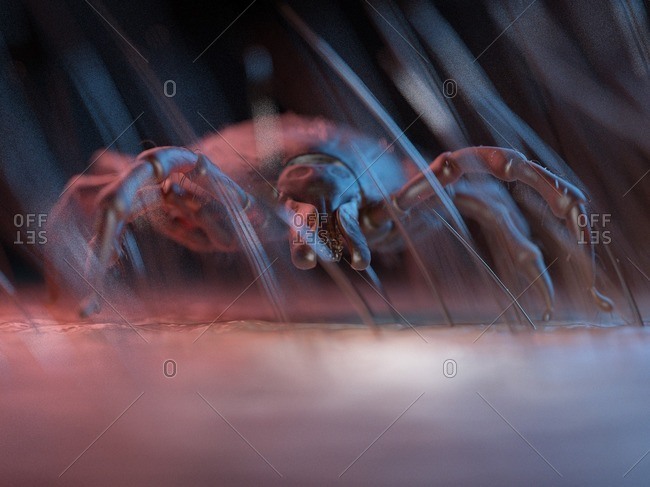 3d rendered illustration of a tick on human skin.