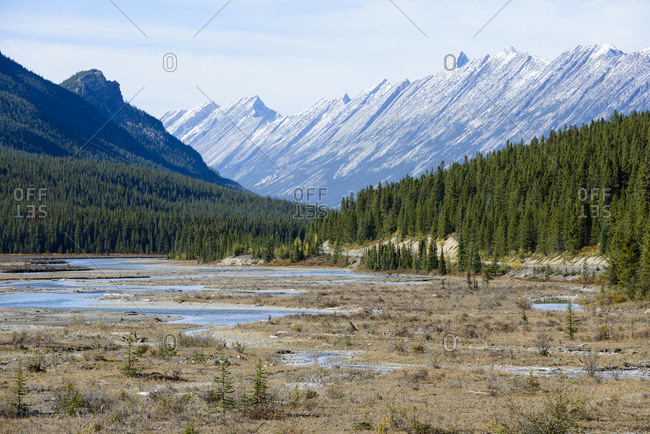 Alberta, Jasper National Park, canadian rockies, Rocky Mountains, geology, layers, mountain, forest
