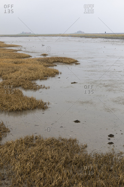 Germany Schleswig Holstein Hallig Hooge Landscape At Low - 