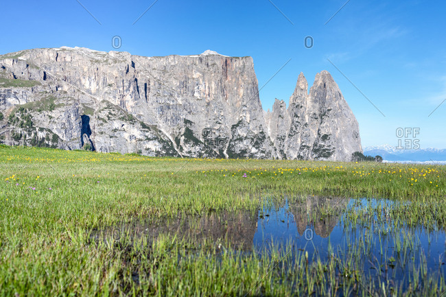 Europe, Italy, Bolzano, South Tyrol, Alpe di Siusi - Seiser Alm, mount Sciliar reflected in a pond, Dolomites