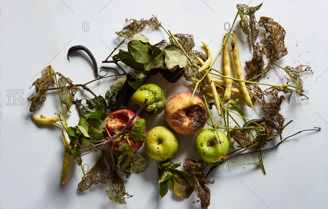 Rotten food Stock Photos, Royalty Free Rotten food Images