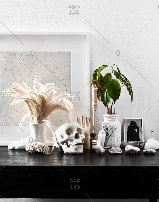 October 5, 2017 - Still life with skull, feathers, recorder, potted plant, bottle of Aesop Rind Concentrate, and card from Barneys New York displayed on shelf