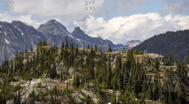 A hill side covered with trees is seen in a foreground as high mountain peaks are seen in the background. This is a popular area for backpacking due to its beautiful views and relatively easy access from a logging road, Pemberton, British Columbia, Canada