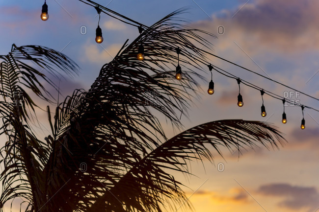 Row of string lights glowing dimly over palm tree and sky at dusk, Changgu, Bali, Indonesia
