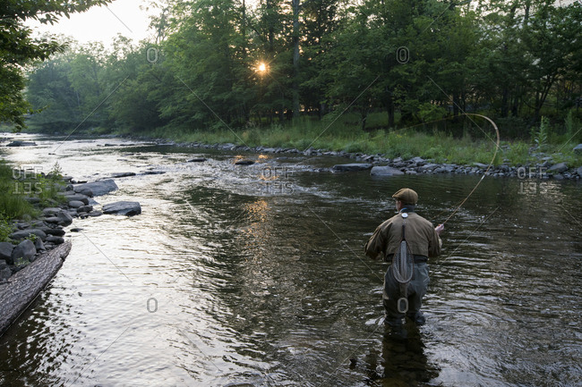 A fly fisherman casting for trout in a small freestone river in northeastern USA.