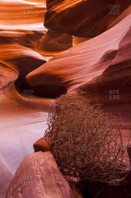 USA, Upper Antelope Canyon, Arizona.