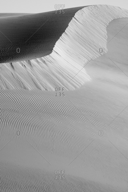 USA, California. Black and white image of windblown sand dune