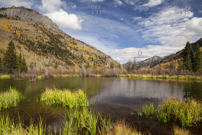USA, Colorado, San Juan Mountains. Beaver pond in mountain landscape.