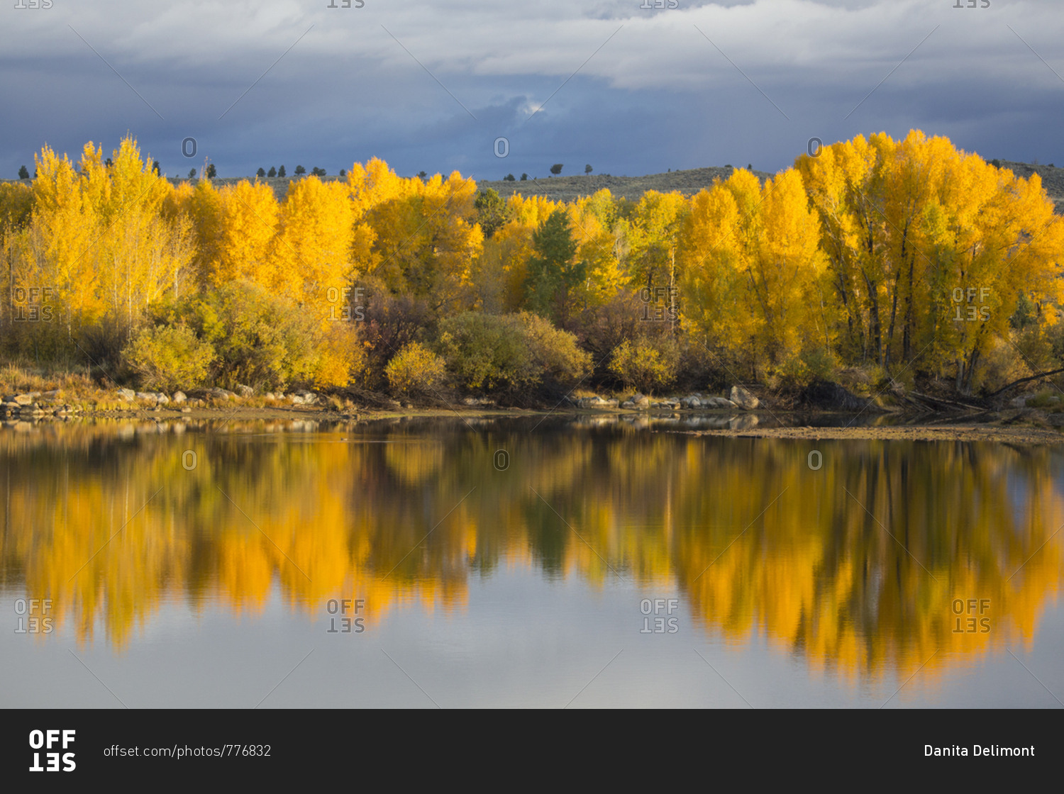 Puke Bucket - Pinedale Online News, Wyoming