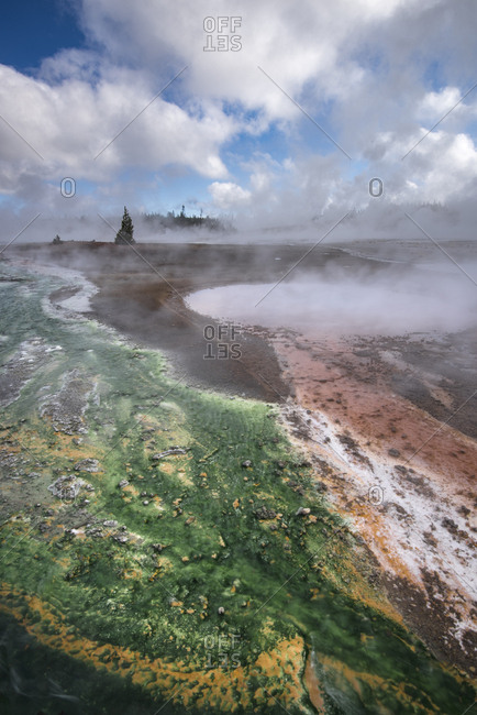 USA, Wyoming. Geothermal area and colorful thermophile designs of Norris Geyser Basin, Yellowstone National Park.