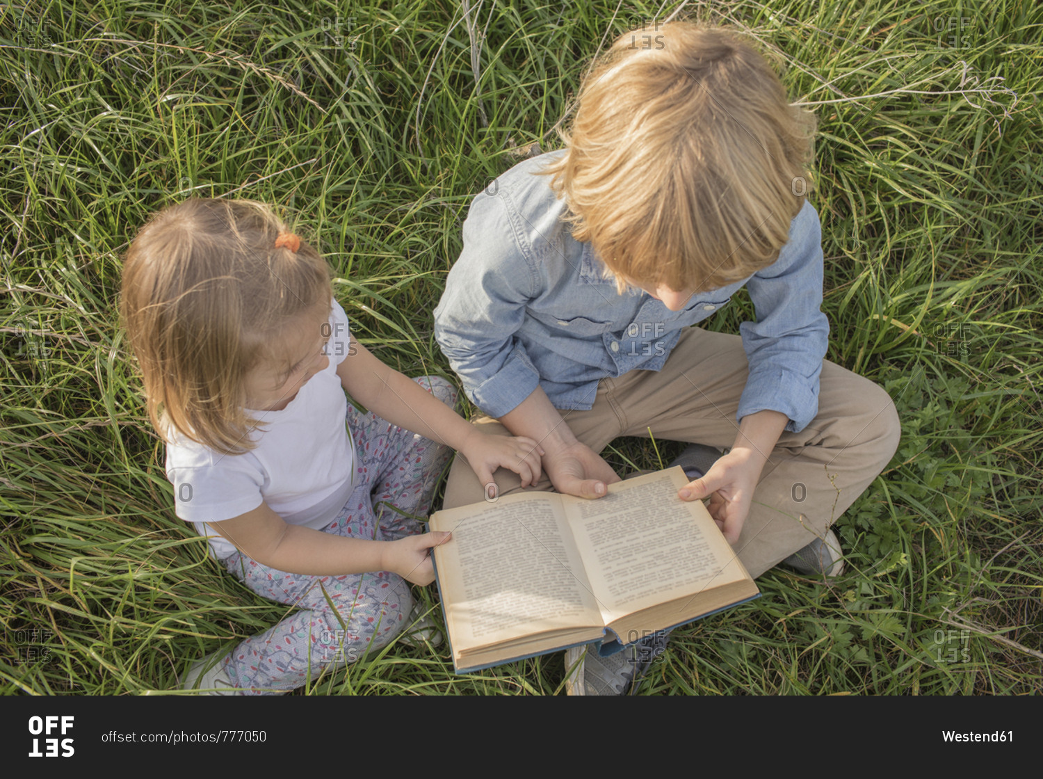 Brother and his little sister sitting on a meadow reading a book- top view