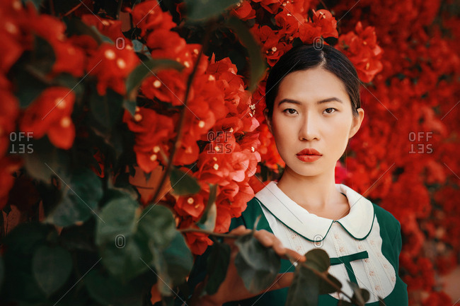 Attractive Asian lady in retro dress looking at camera while standing near wall with branches of amazing blooming plant