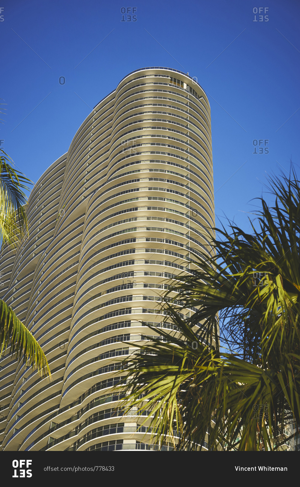 A view looking up through some palm trees to a tall hotel or condo building with round edges and blue skies.