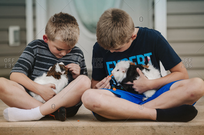 Two boys holding Guinea Pigs