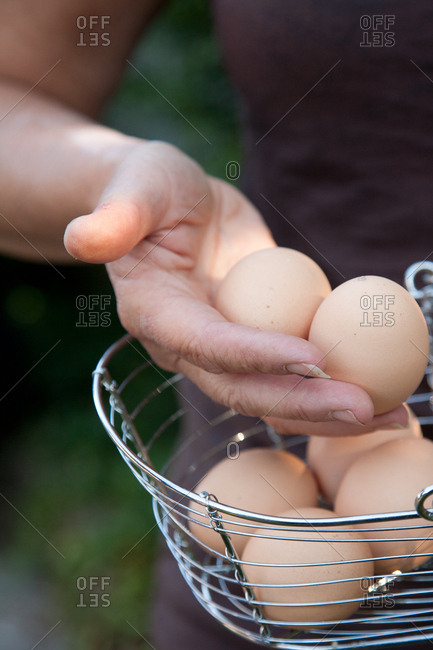 Detail of hand with eggs in wire basket