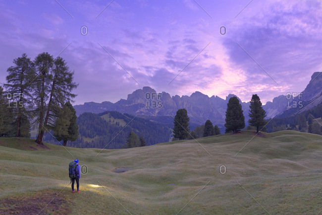 Hiker looks at pink light of dusk with Odle group in the background, Selva, Gardena Valley, South Tyrol, Dolomites, Italy, Europe