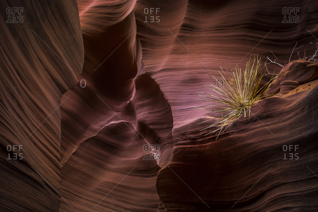USA- Arizona- Page- Rattlesnake Canyon