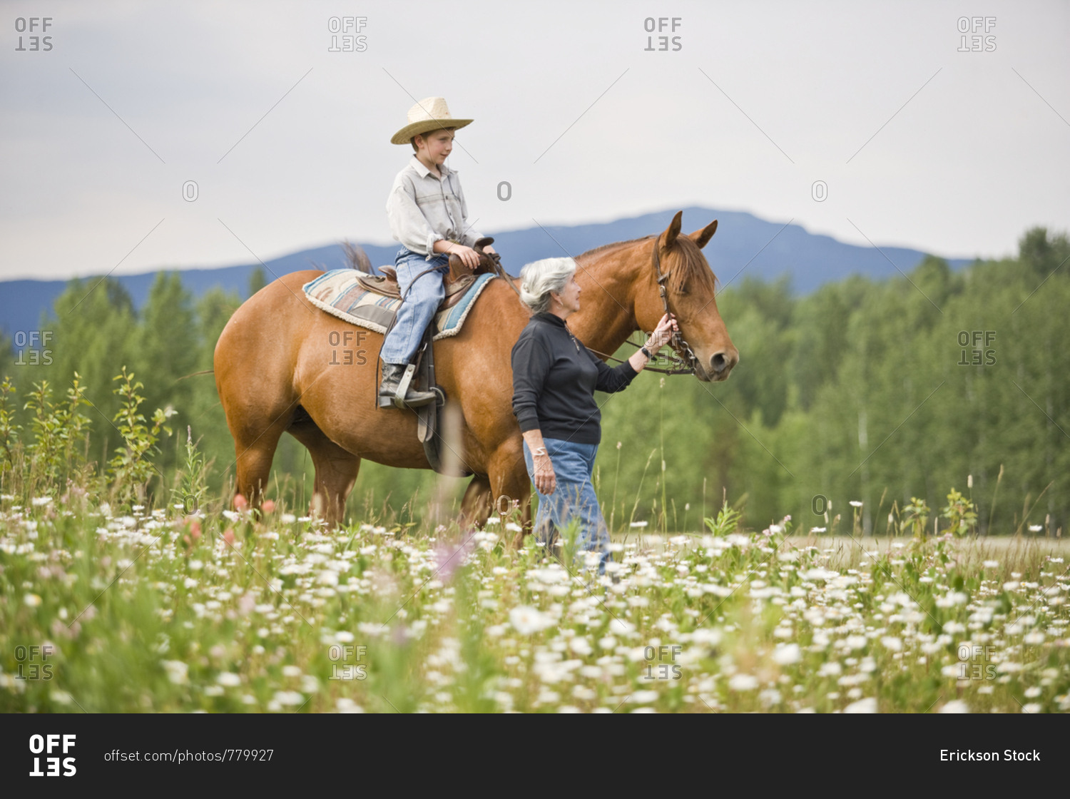 Grandmother leading horse ridden by grandson