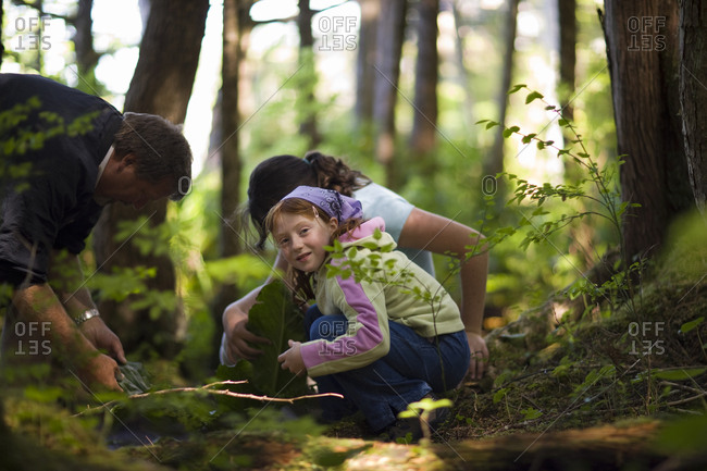 Portrait of a young girl with her teenage sister and mid-adult father gathering leaves while in the forest.