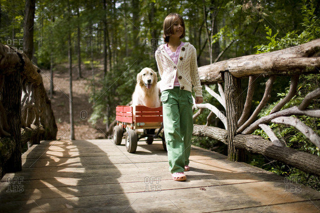 Girl pulling a dog in a trailer