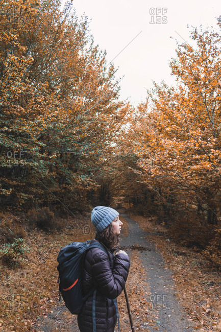 Side view of a lady in hat and ski jacket with knapsack and walking stick on footpath between autumn forest in Isoba, Castile and Leon, Spain