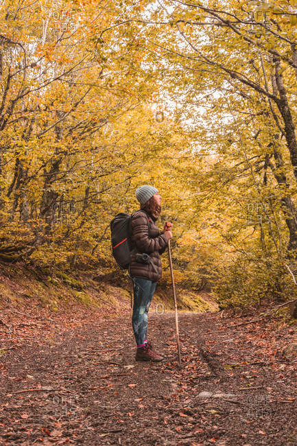 Lady in hat and ski jacket with knapsack and walking stick on footpath between autumn forest in Isoba, Castile and Leon, Spain