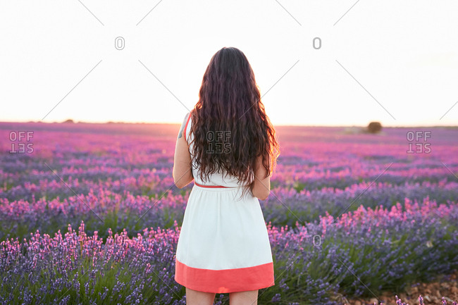 Smiling young woman between violet lavender field