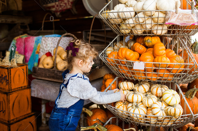 Little girl picking a small pumpkin from a bin at a farmer's market