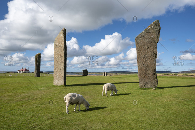 Great Britain- Scotland- Orkney- Mainland- Neolithic stone circle