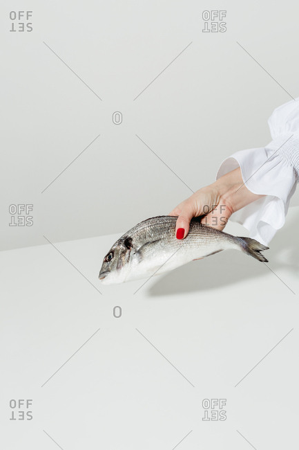 Fashionable woman with manicure holding a dead fish