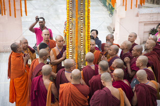 Bodh Gaya, India - February 27, 2015: Monks walking beside goats at the Mahabodhi temple