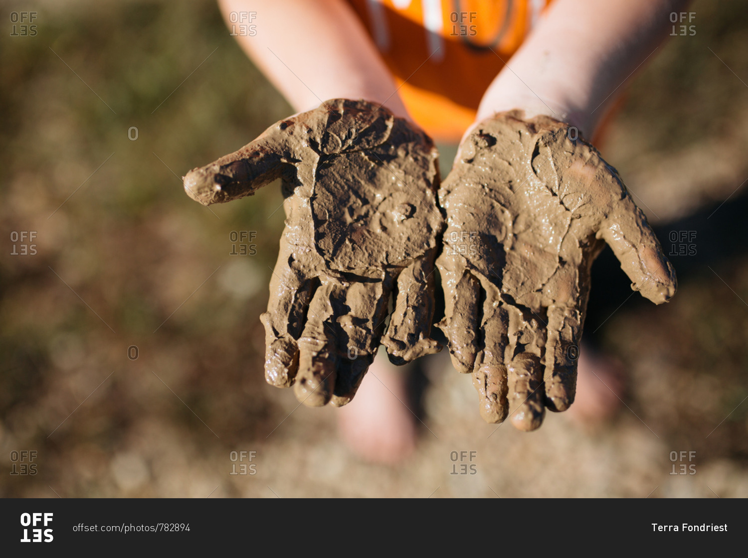 Mud covered hands of a child stock photo OFFSET