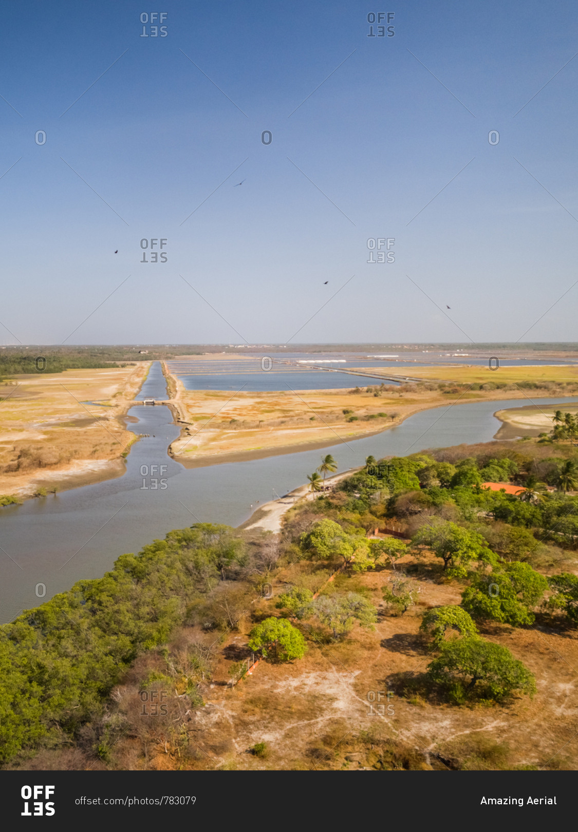 Aerial view of birds flying over a river near salt flat, Brazil.