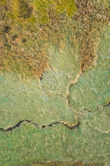 Aerial view of small stream crossing wetland, Netherlands.