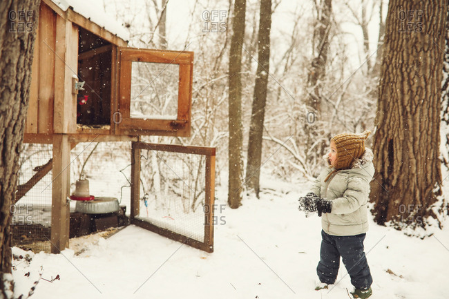 Young boy looking into a snow covered chicken coop
