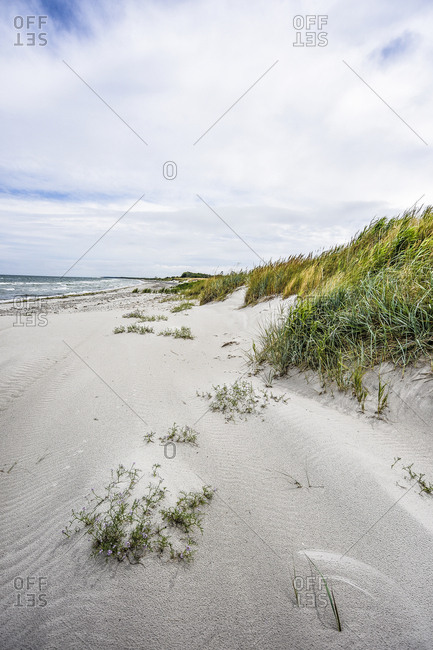 Germany- Mecklenburg-Western Pomerania- Zingst- beach