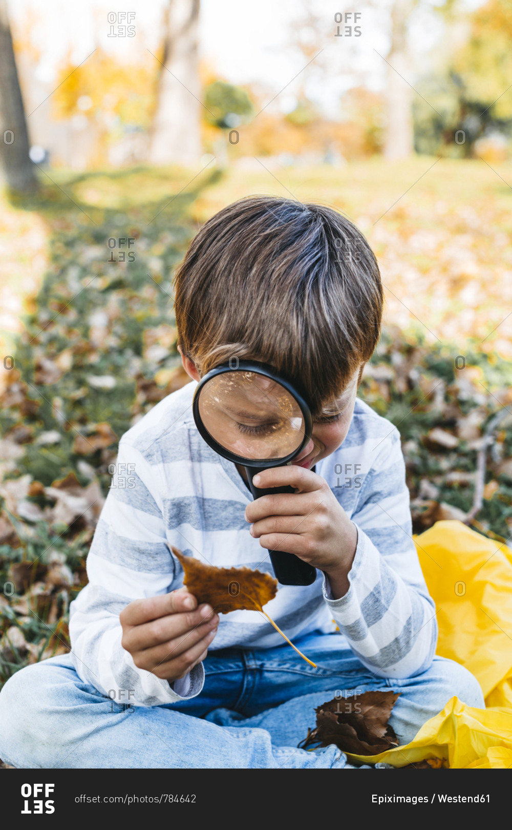 Little boy exploring autumn leaf with magnifying glass in nature