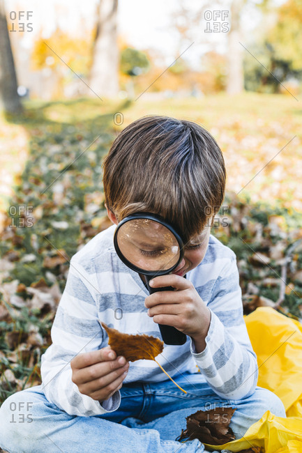 Little boy exploring autumn leaf with magnifying glass in nature
