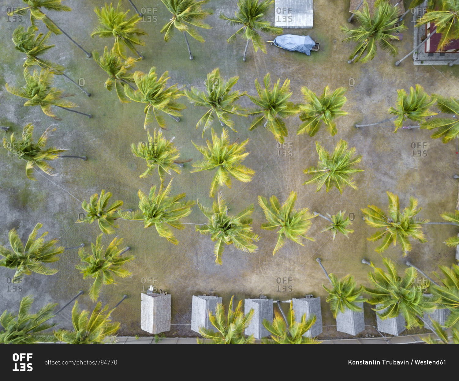 Indonesia- West Sumbawa- Aerial view of Kertasari- huts and palms from above