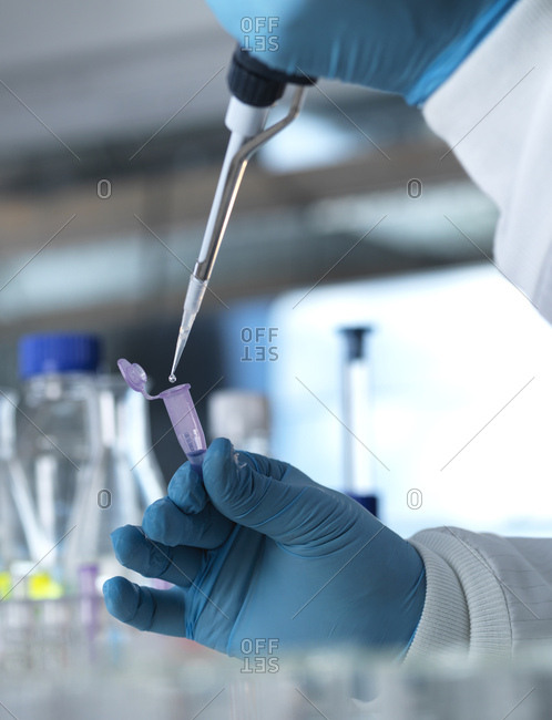 Scientist pipetting a DNA sample into a eppendorf tube for genetic testing in a laboratory