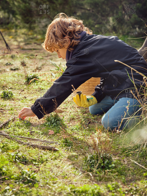 Pick Up Sticks Stock Photos Offset