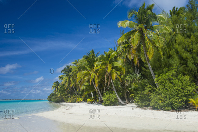 Cook Islands- Rarotonga- Aitutaki lagoon- white sand beach and palm beach