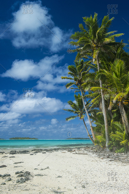 Cook Islands- Rarotonga- Aitutaki lagoon- white sand beach and palm beach