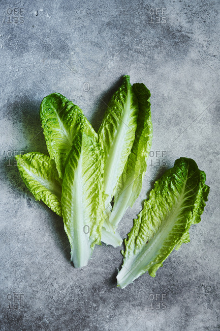 Overhead view of full lettuce leaves
