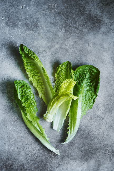 Overhead view of full lettuce leaves