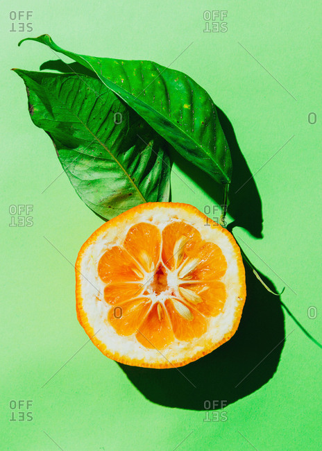 An orange with green leaves on a green background