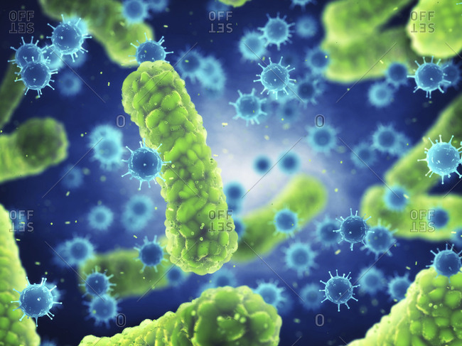 Microscopic germs that cause infectious diseases