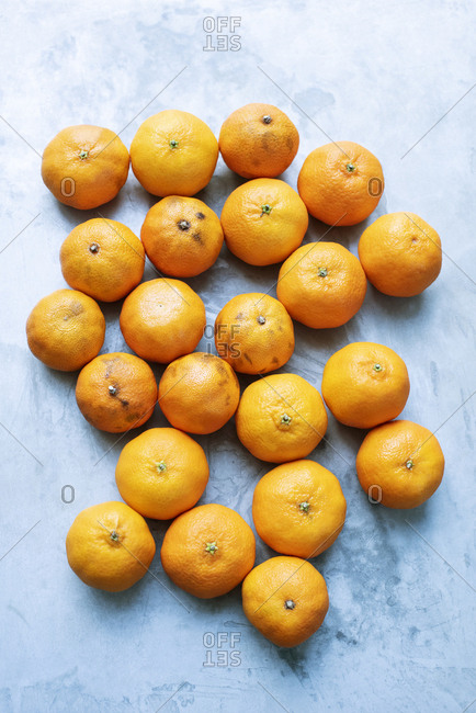 Fresh and over-ripe tangerines